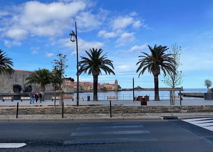 5demo54 - Tres Proche Et Toutes Commodites Villa Collioure